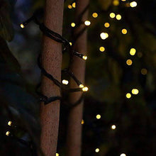 Load image into Gallery viewer, 4 Pack Battery Operated Outdoor Christmas Tree String Lights with 50 Warm White LEDs on 16.5Ft/5M of Dark Green Cable,Ambiance Lighting for Bedroom